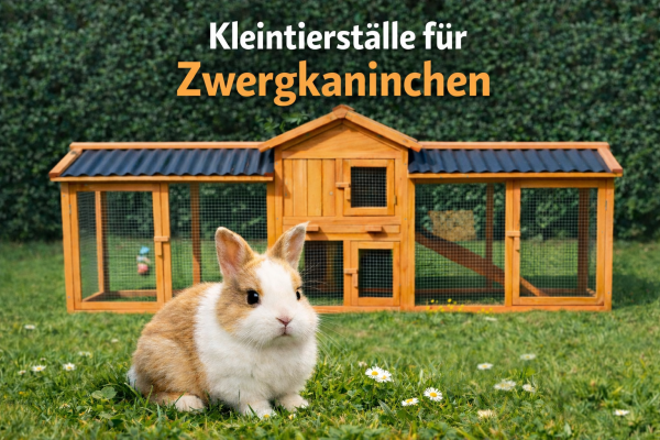 Kaninchenstall im Winter – optimaler Standort &amp; wichtige Tipps - Kaninchenstall im Winter richtig aufstellen – Tipps &amp; Hinweise