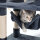 Katzenkratzbaum 141cm Kratzbaum Kletterbaum Spielbaum Sisal -- Balu -- zoo-xxl®