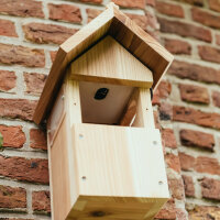 Gardenature Vogelhaus Vogelkasten mit WIFI KAMERA 4MP