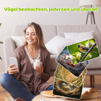 Vogel Nistkasten mit Kamera ohne Solarpanel Sanilu®
