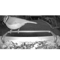 Vogelfutterstation mit Kamera ohne Solarpanel Sanilu®