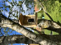 Vogelfutterstation mit Kamera mit Solarpanel Sanilu®