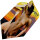 BULLS Erotic Flights