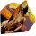 BULLS Erotic Flights