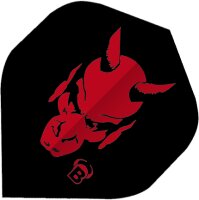 BULLS Motex Flights