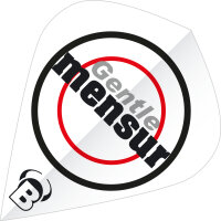 BULLS B-Star Flights - Kite