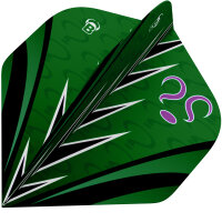 BULLS B-Star Flights A-Std. Brian Raman  Sehr stabiler 100 Micron B-Star Flight in Standard A-S