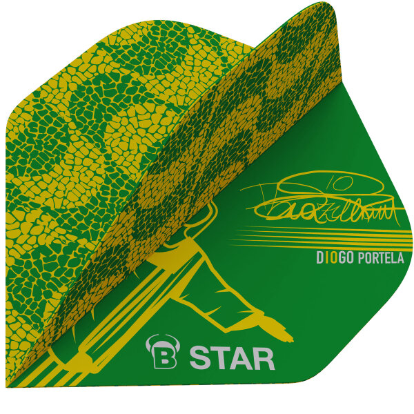 BULLS B-Star Flights A-Std. Diogo Portela (A-Standard)