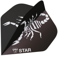 BULLS B-Star Flights