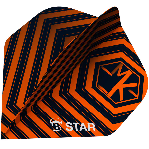 BULLS B-Star Flights Martijn Kleermaker (A-Standard)