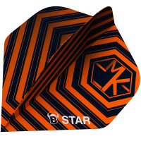 BULLS B-Star Flights Martijn Kleermaker (A-Standard)