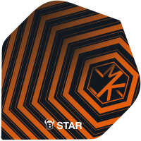 BULLS B-Star Flights Martijn Kleermaker (A-Standard)