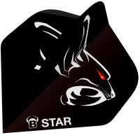 BULLS B-Star Flights