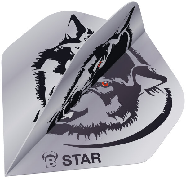 BULLS B-Star Flights