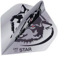 BULLS B-Star Flights