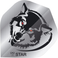 BULLS B-Star Flights
