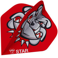 BULLS B-Star Flights - A-Standard