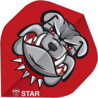 BULLS B-Star Flights - A-Standard