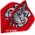 BULLS B-Star Flights