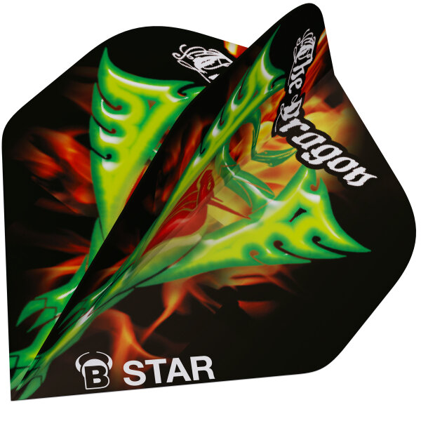BULLS B-Star Flights