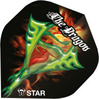 BULLS B-Star Flights