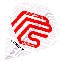 BULLS B-Craft Flights Mensur Suljovic - Kite