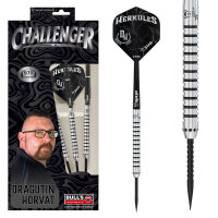 BULLS Challenger Steeldart D.Horvat (21 Gr.)