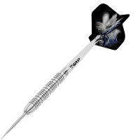 BULLS Meteor MT4 Steel Dart (22 Gr.)