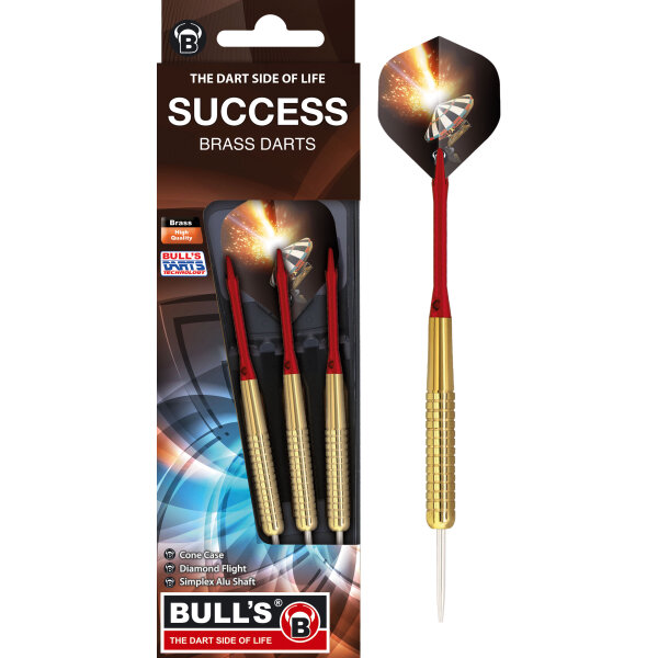 BULLS Success Steel Dart