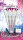 Unicorn Autograph Soft Darts (19 Gr.)
