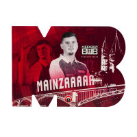 BULLS Niko Springer Fankarte