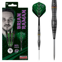 BULLS Brian Raman Steel Dart