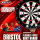BULLS Bristol Flocked Paper Dart Board -- 1 Stck