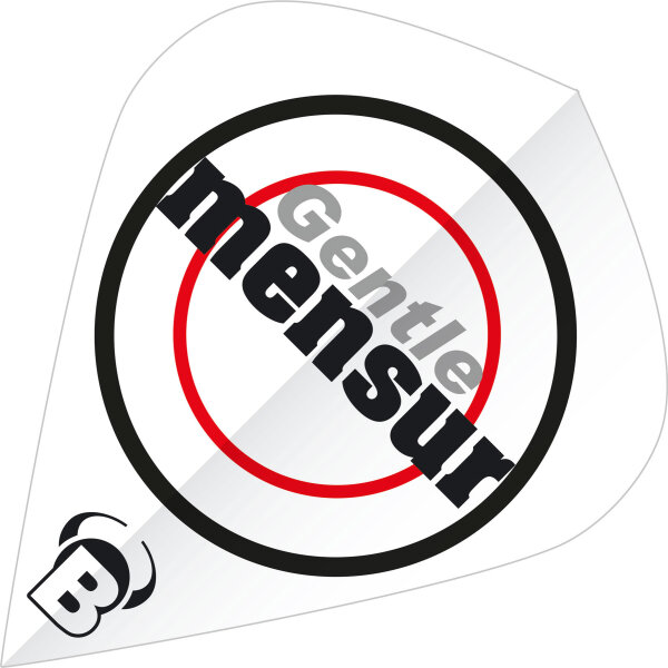 BULLS B-Star Flights - Kite -- 1 Satz