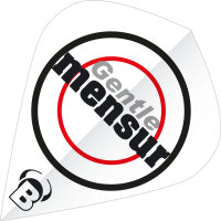 BULLS B-Star Flights - Kite -- 1 Satz