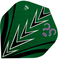 BULLS B-Star Flights A-Std. Brian Raman - A-Standard -- 1 Satz