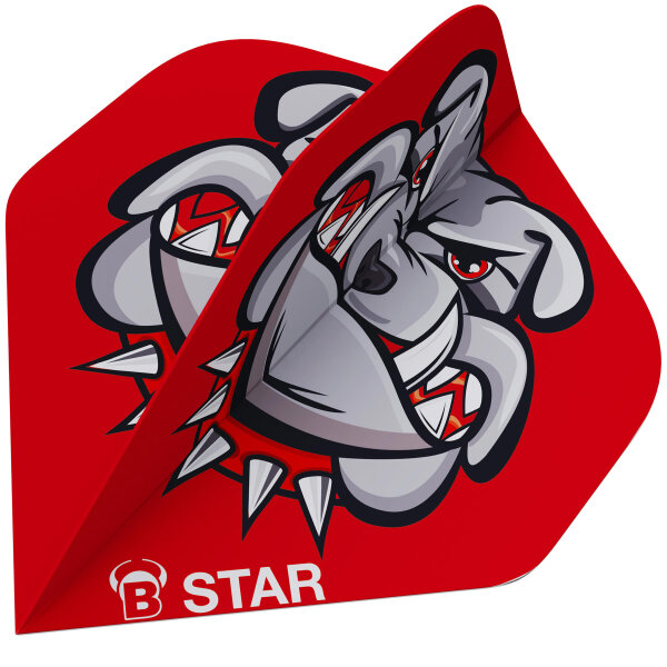 BULLS B-Star Flights - A-Standard -- 1 Satz