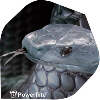 BULLS Powerflite Standard A-Shape - A-Standard