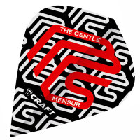 BULLS B-Craft Flights Mensur Suljovic - Kite -- 1 Satz