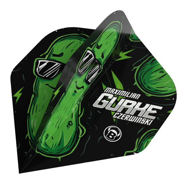 BULLS Metrixx Flights Max Czerwinski - A-Standard -- 1 Satz