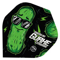 BULLS Metrixx Flights Max Czerwinski - A-Standard -- 1 Satz