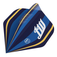 BULLS Metrixx Flights Leon Weber - A-Standard