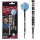 BULLS Patrick Tringler Challenger Soft Dart - 20g -- 1 Satz