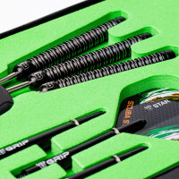 BULLS Steve Lennon Steel Dart -- 1 Satz