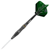 BULLS Brian Raman Steel Dart -- 1 Satz