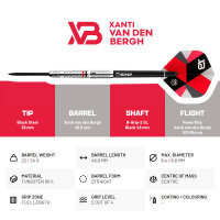 BULLS Xanti Van den Bergh Steel Dart -- 1 Satz