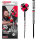 BULLS Xanti Van den Bergh Steel Dart -- 1 Satz