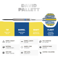 BULLS David Pallett Steel Dart -- 1 Satz