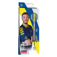 BULLS David Pallett Steel Dart -- 1 Satz
