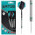 BULLS Artos AR1 Steeldart, Mint 80% Tungsten - 22g -- 1 Satz